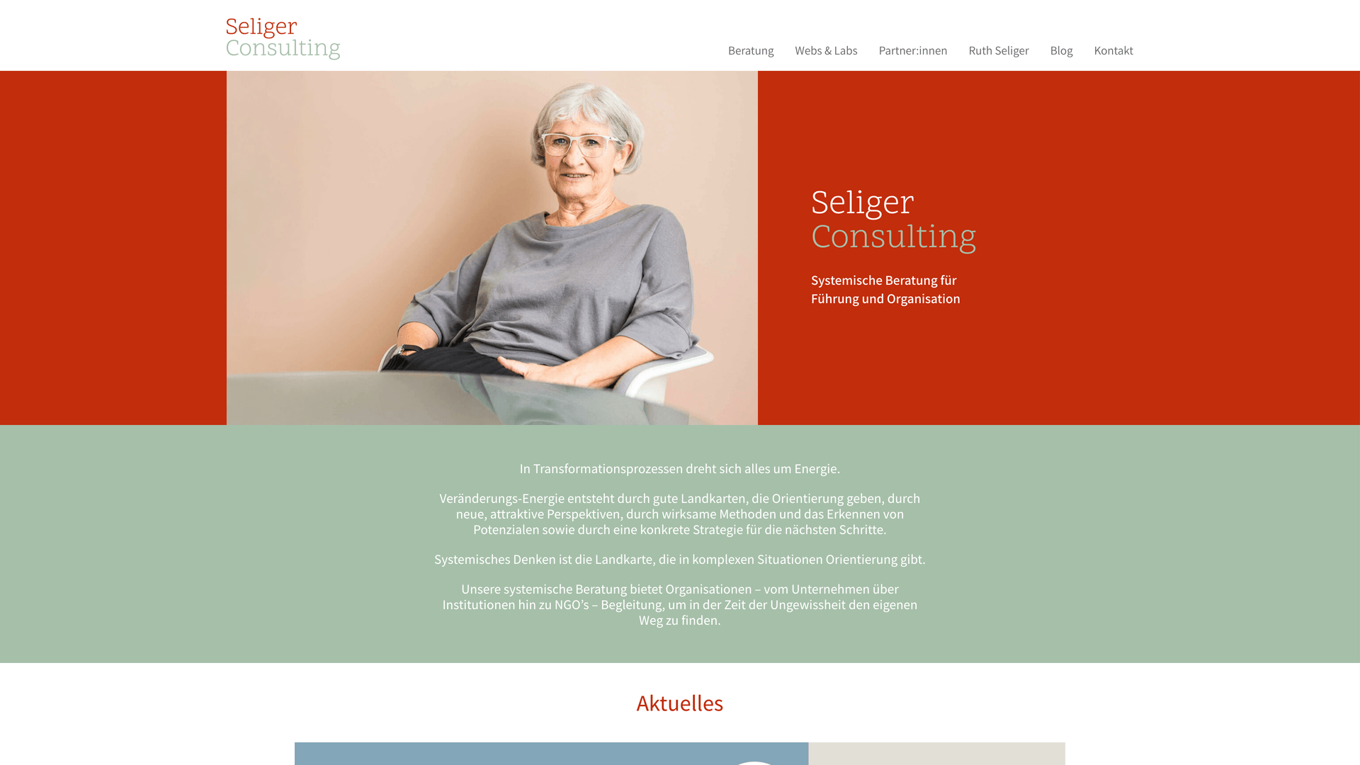 Seliger Consulting Screenshot
